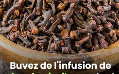 L’eau de clou de girofle : une boisson méconnue aux vertus insoupçonnées