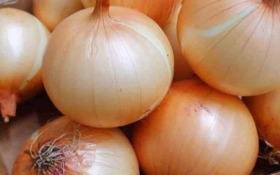 Doctors Explain What Happens When You Eat Onions…