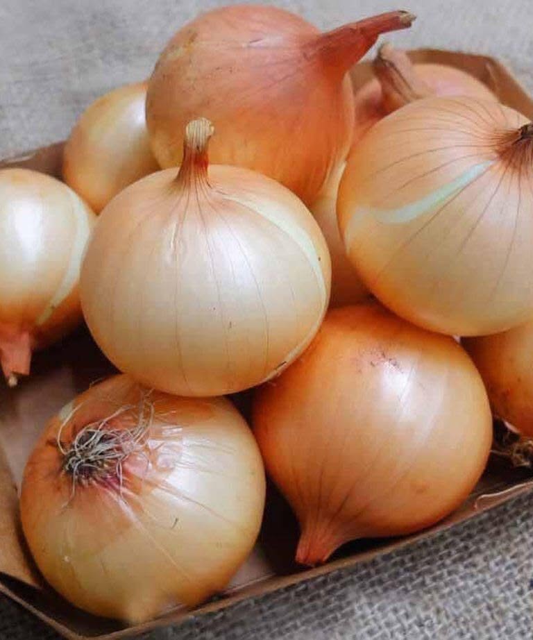 Doctors Explain What Happens When You Eat Onions…
