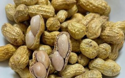 Cacahuète ou noix de cajou, on choisit quoi ?