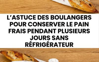 Pain qui reste frais plusieurs jours sans frigo : les secrets bien gardés des boulangers
