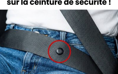Ce bouton discret sur votre ceinture de sécurité cache une fonction bien plus utile que vous ne l’imaginez