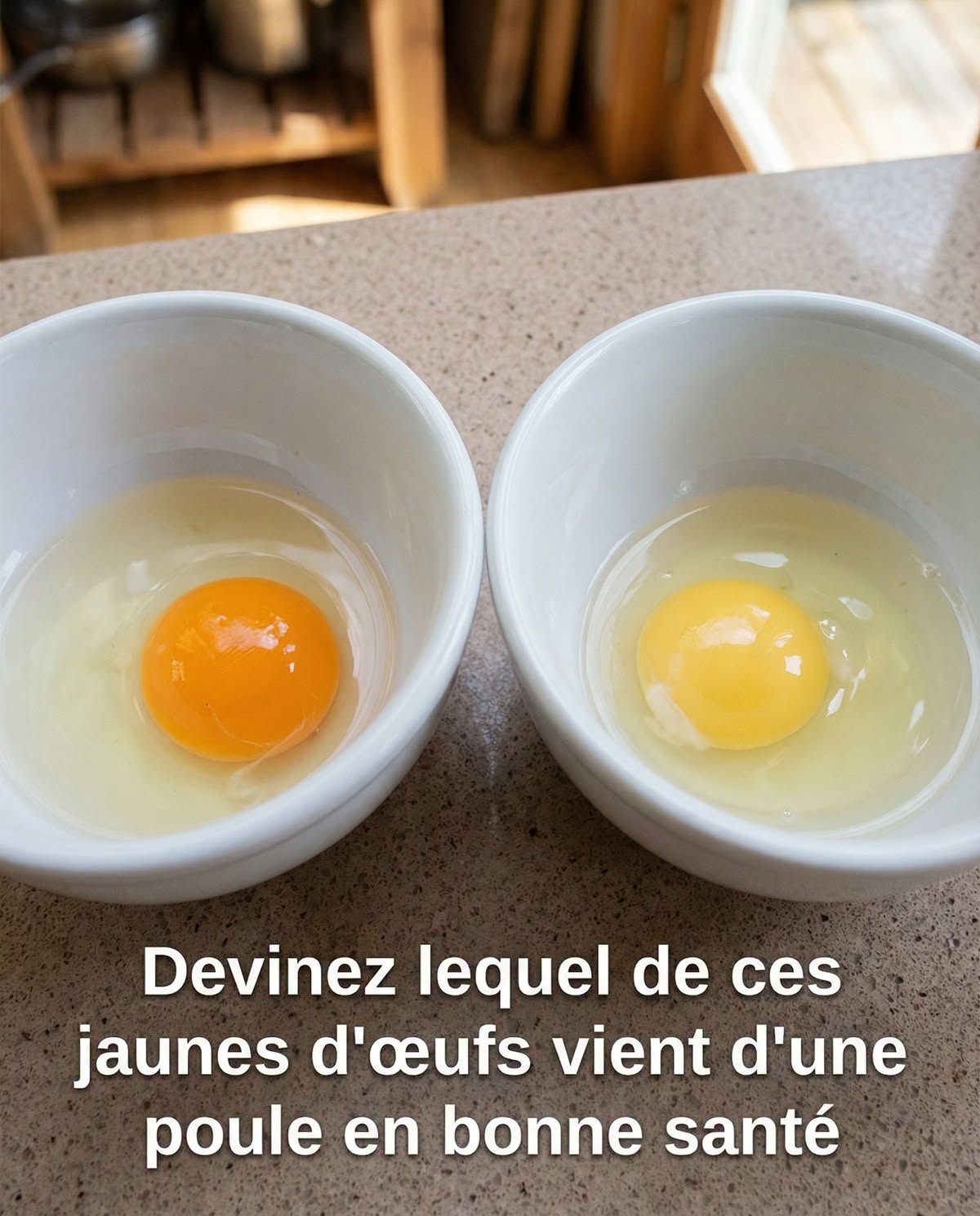 Devinez lequel de ces jaunes d’œufs vient d’une poule en bonne santé