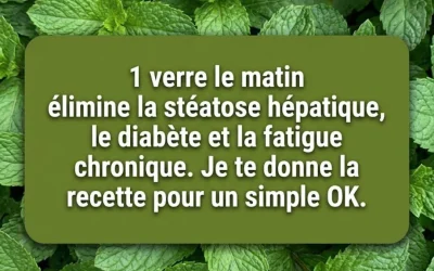 Menthe et Citron : Le remède maison qui purifie, rajeunit et vous donne de l’énergie en quelques minutes