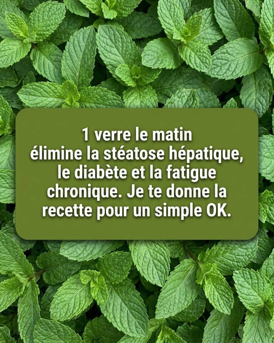 Menthe et Citron : Le remède maison qui purifie, rajeunit et vous donne de l’énergie en quelques minutes