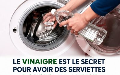 Apprenez à nettoyer la machine à laver avec du vinaigre : 3 astuces qui facilite la vie
