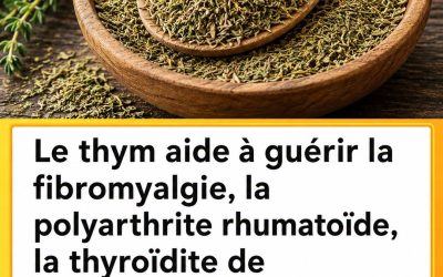 Le thym détruit les infections de la gorge, la grippe, combat les infections respiratoires