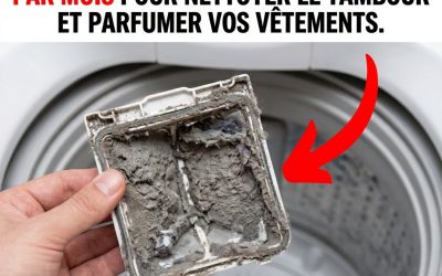 Ce petit tiroir caché dans votre lave-linge mérite une visite mensuelle : voici pourquoi il transforme vos lessives