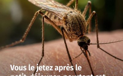 Vous le jetez après le petit-déjeuner, pourtant cet ingrédient est un véritable répulsif naturel contre les moustiques