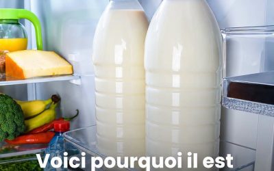 Voici Pourquoi il est “Interdit” de Conserver le Lait dans la Porte du Frigo.