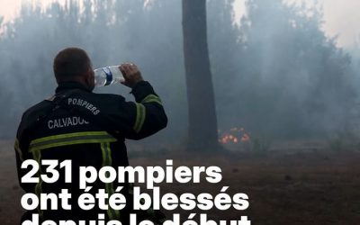 Incendies en Gironde : une «cellule de crise économique» va être ouverte pour soutenir les entreprises, selon le maire de Bordeaux