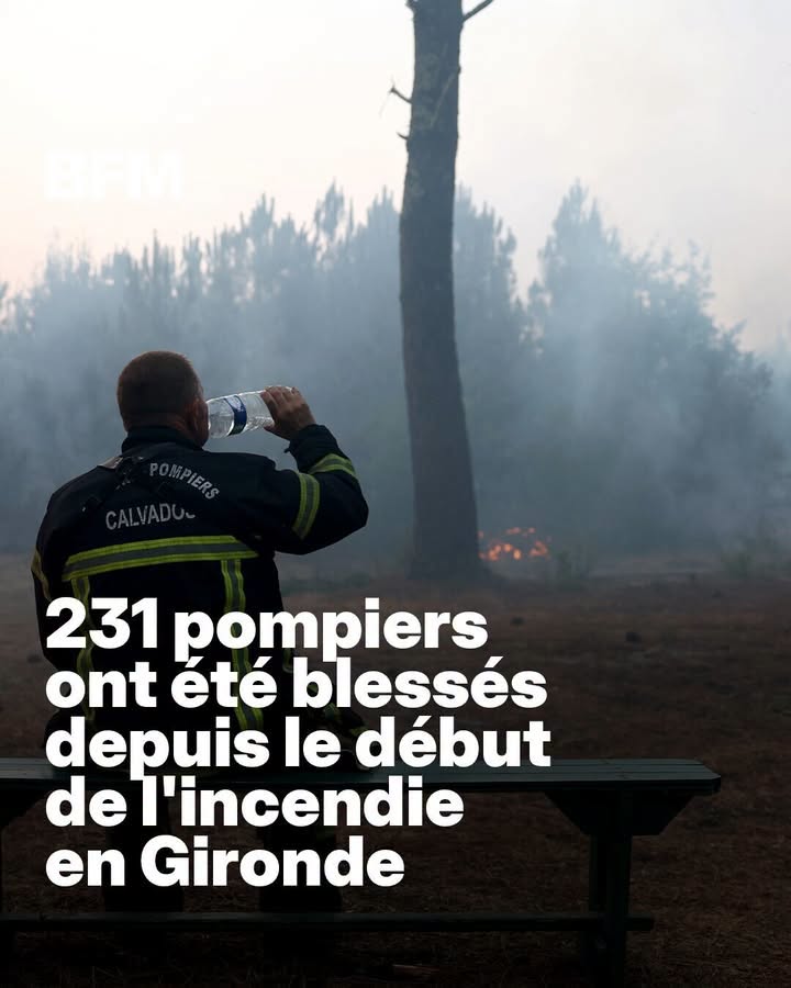 Incendies en Gironde : une «cellule de crise économique» va être ouverte pour soutenir les entreprises, selon le maire de Bordeaux