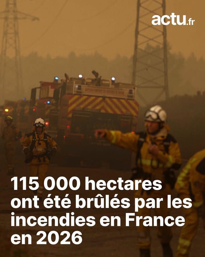 Le réchauffement climatique, catalyseur des feux de forêt