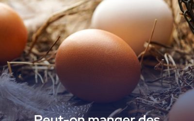 Peut-on manger des œufs de canard comme des œufs classiques ?