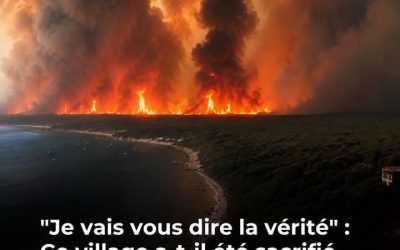 Sept départements en vigilance orange face aux risques élevés de feux de forêt