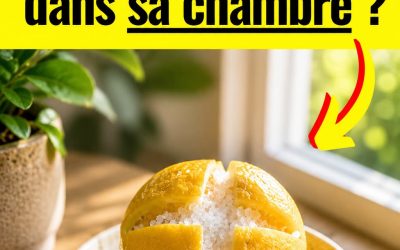Libérez la magie cachée du citron et du sel