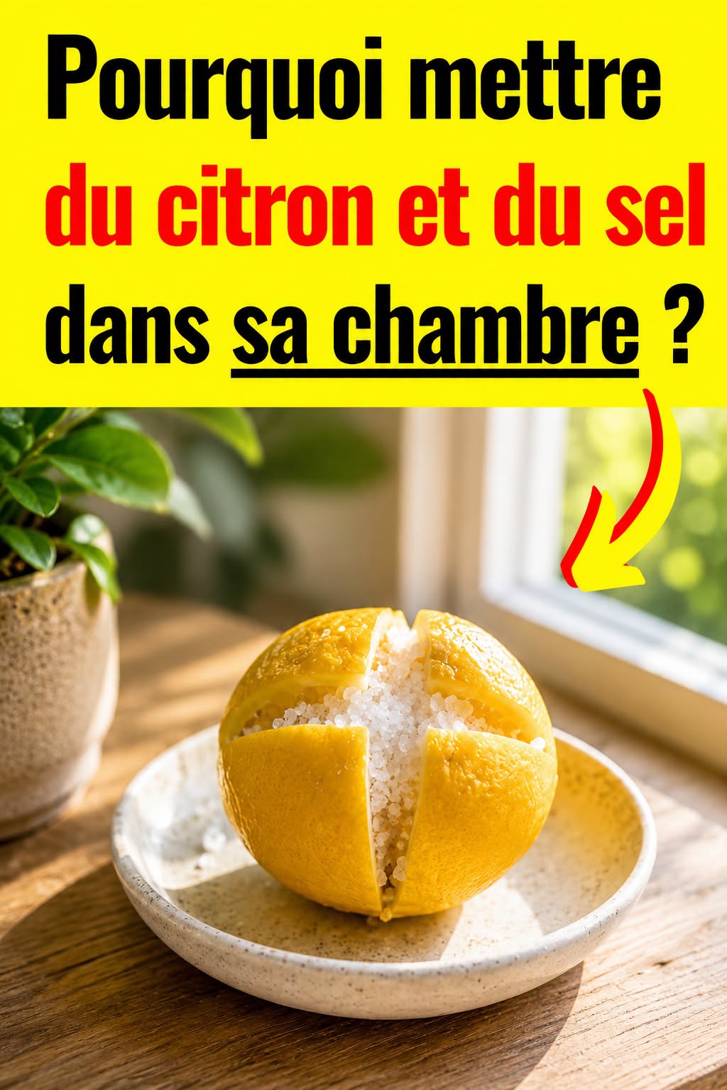 Libérez la magie cachée du citron et du sel