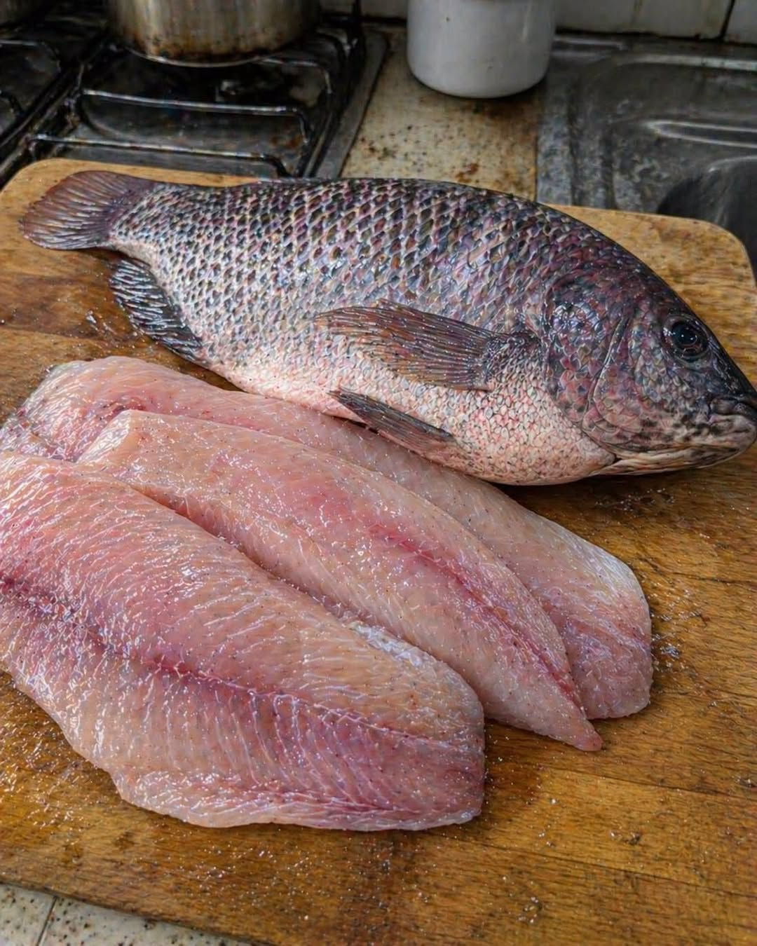 Tilapia : ce poisson bon marché est-il vraiment bon pour la santé ?