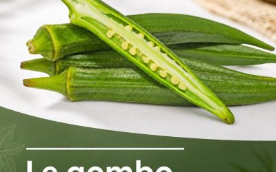19 Avantages incroyables de la consommation du gombo !