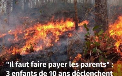 Il faut faire payer les parents” : 3 enfants de 10 ans déclenchent un incendie dans un parc, le maire s’en prend aux parents