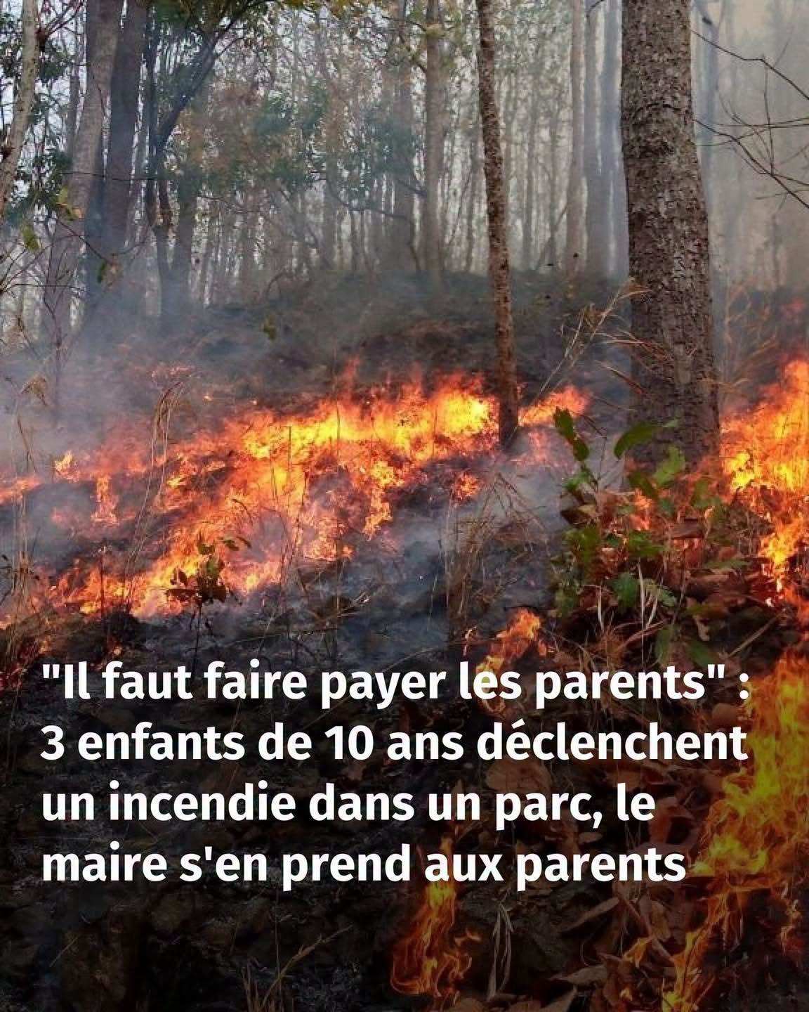 Il faut faire payer les parents” : 3 enfants de 10 ans déclenchent un incendie dans un parc, le maire s’en prend aux parents